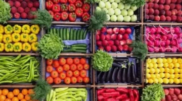 أسعار متجددة.. تعرف على تحديثات أسعار الخضراوات والفواكه اليوم الجمعة 28 نوفمبر 2025